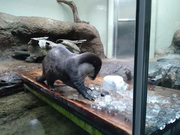 仙台うみの杜水族館に投稿された画像（2024/2/23）