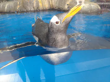 仙台うみの杜水族館に投稿された画像（2024/2/23）
