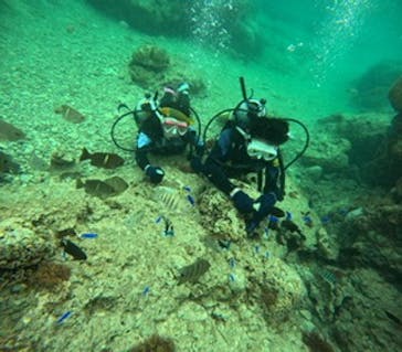 沖縄マリンサービス碧に投稿された画像（2024/2/23）