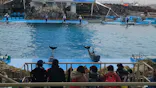 名古屋港水族館に投稿された画像（2024/2/23）