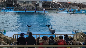 名古屋港水族館に投稿された画像（2024/2/23）
