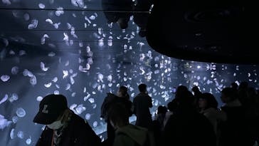 サンシャイン水族館に投稿された画像（2024/2/23）