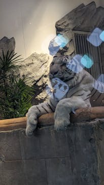 NIFREL（ニフレル）に投稿された画像（2024/2/23）