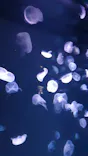 サンシャイン水族館に投稿された画像（2024/2/23）