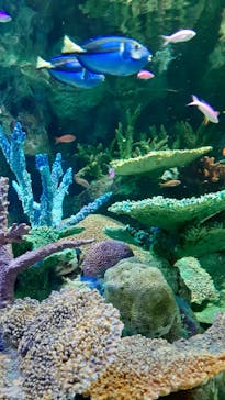 サンシャイン水族館に投稿された画像（2024/2/23）