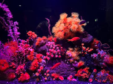 マリンワールド海の中道に投稿された画像（2024/2/23）