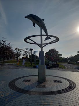 沖縄美ら海水族館に投稿された画像（2024/2/23）