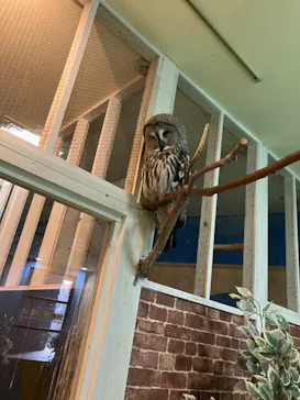 ひらかたパークに投稿された画像（2024/2/23）