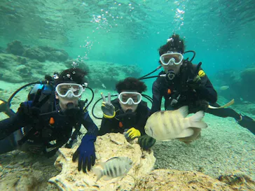 武藤潜水に投稿された画像（2024/2/23）