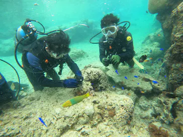 武藤潜水に投稿された画像（2024/2/23）
