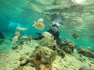 武藤潜水に投稿された画像（2024/2/23）