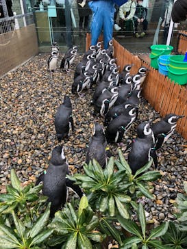 上越市立水族博物館 うみがたりに投稿された画像（2024/2/23）