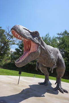 福井県立恐竜博物館に投稿された画像（2024/2/23）