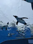 サンシャイン水族館に投稿された画像（2024/2/23）
