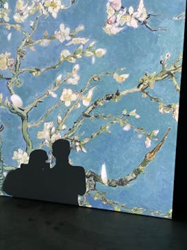 ゴッホ・アライブに投稿された画像（2024/2/23）