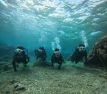 沖縄マリンサービス碧に投稿された画像（2024/2/23）