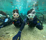 沖縄マリンサービス碧に投稿された画像（2024/2/23）