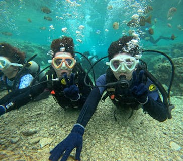 沖縄マリンサービス碧に投稿された画像（2024/2/23）