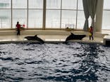 アクアワールド茨城県大洗水族館に投稿された画像（2024/2/23）