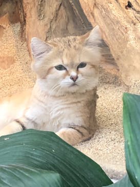 神戸どうぶつ王国に投稿された画像（2024/2/23）