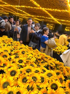 ゴッホ・アライブに投稿された画像（2024/2/23）