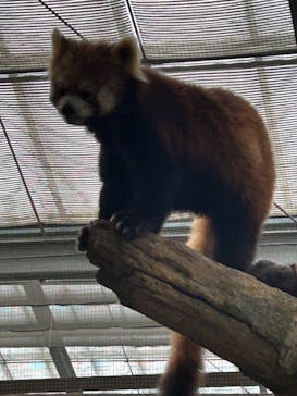 神戸どうぶつ王国に投稿された画像（2024/2/23）