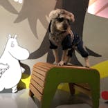 ムーミンバレーパークに投稿された画像（2024/2/23）