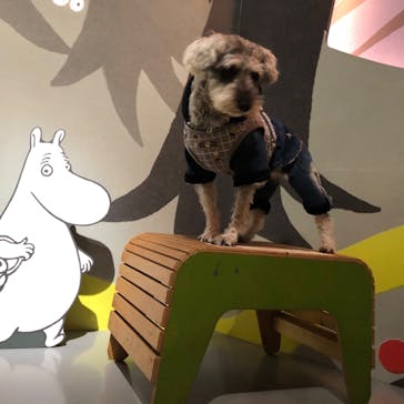 ムーミンバレーパークに投稿された画像（2024/2/23）