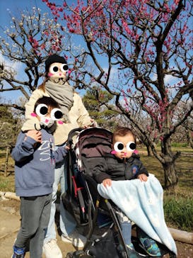 万博記念公園に投稿された画像（2024/2/12）