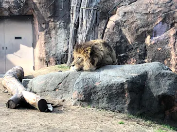 天王寺動物園に投稿された画像（2024/2/23）