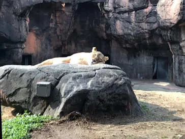 天王寺動物園に投稿された画像（2024/2/23）