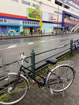 いきもの探検隊上尾に投稿された画像（2024/2/23）