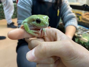 いきもの探検隊上尾に投稿された画像（2024/2/23）