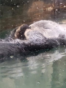 マリンワールド海の中道に投稿された画像（2024/2/23）