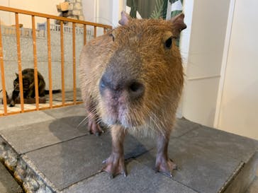 おさるの湯もみ処　おさ湯に投稿された画像（2024/2/23）