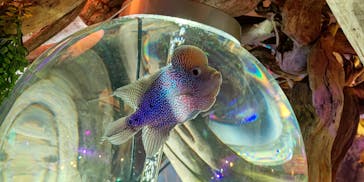 NARA IKIMONO MUSEUMに投稿された画像（2024/2/23）