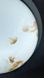 サンシャイン水族館に投稿された画像（2024/2/23）