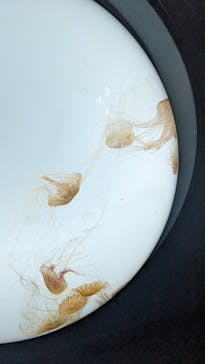 サンシャイン水族館に投稿された画像（2024/2/23）