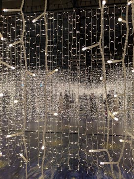 ゴッホ・アライブに投稿された画像（2024/2/23）