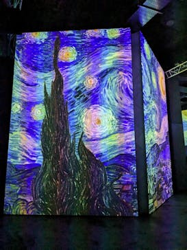 ゴッホ・アライブに投稿された画像（2024/2/23）