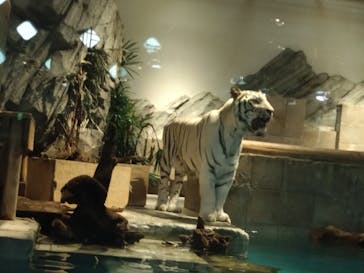 NIFREL（ニフレル）に投稿された画像（2024/2/23）