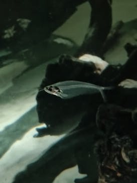 NIFREL（ニフレル）に投稿された画像（2024/2/23）