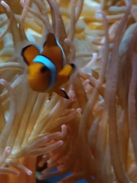 NIFREL（ニフレル）に投稿された画像（2024/2/23）