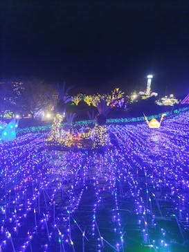 伊豆ぐらんぱる公園に投稿された画像（2024/2/23）