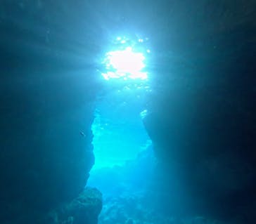 青の洞窟専門店　沖縄ダイビングショップ和に投稿された画像（2024/2/23）