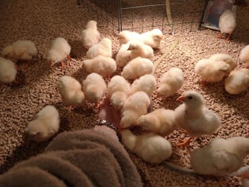 Moff animal cafe イオンモール幕張新都心店に投稿された画像（2024/2/23）