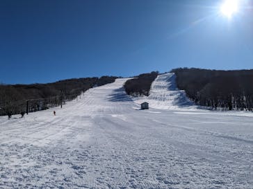 秋田八幡平スキー場に投稿された画像（2024/2/23）