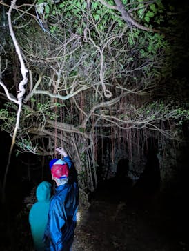 宮古島 ADVENTURE PiPi（ミヤコジマ アドベンチャー ピピ）に投稿された画像（2024/2/23）