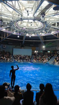 マクセル アクアパーク品川に投稿された画像（2024/2/23）