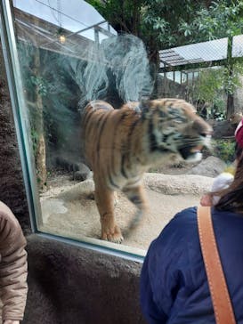 神戸どうぶつ王国に投稿された画像（2024/2/23）